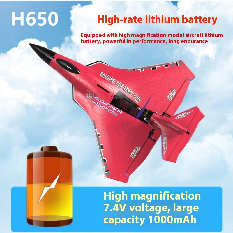 H650 Large RC Plane Fixed Wing - Rc Glider Foam Wing 评论和价格