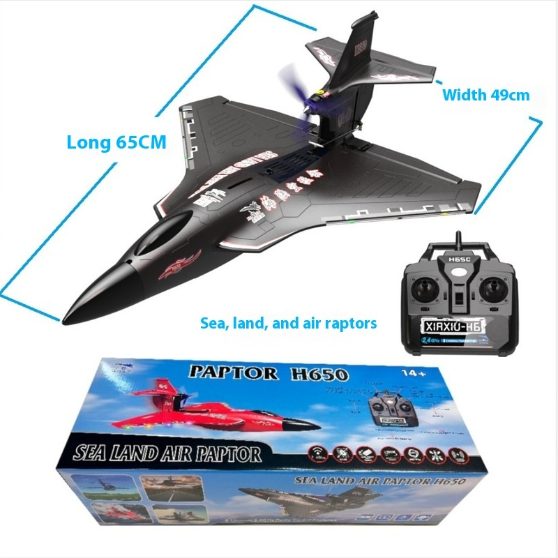 H650 Large RC Plane Fixed Wing - Rc Glider Foam Wing 评论和价格