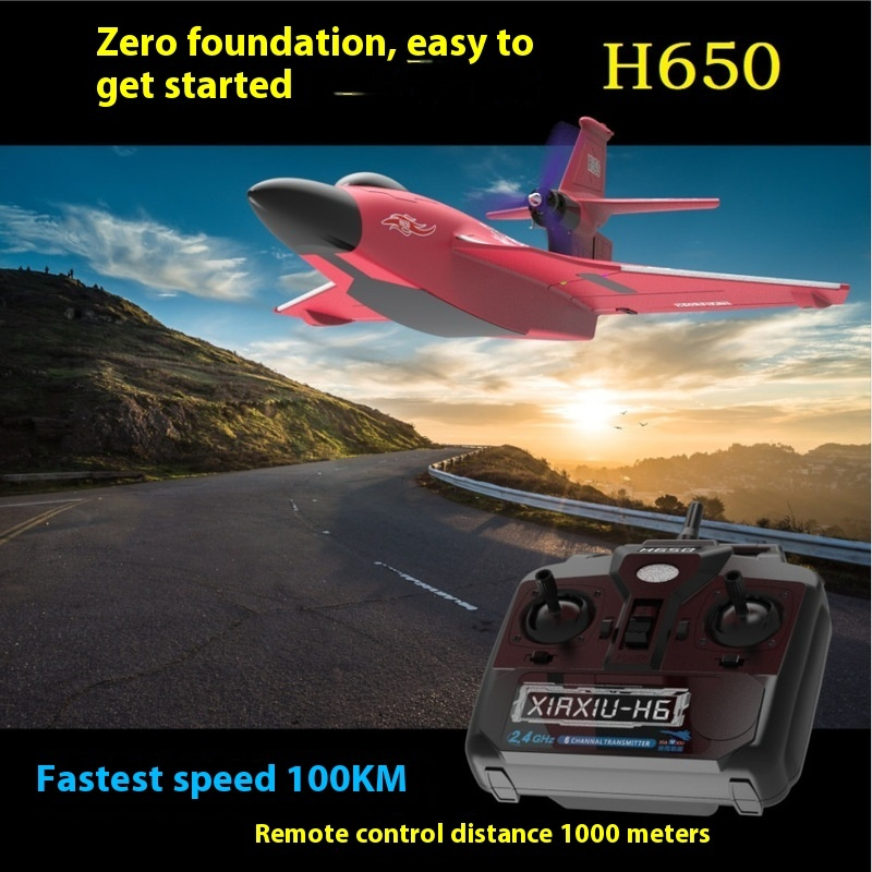 H650 Big Size Rc Plane Water P - Rc Glider Foam Wing 评论和价格
