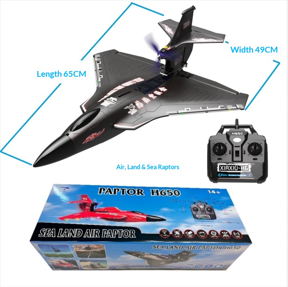 6CH RC Aircraft H650 Raptor Br - Rc Glider Foam Wing 评论和价格