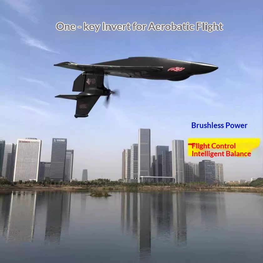 6CH RC Aircraft H650 Raptor Br - Rc Glider Foam Wing 评论和价格
