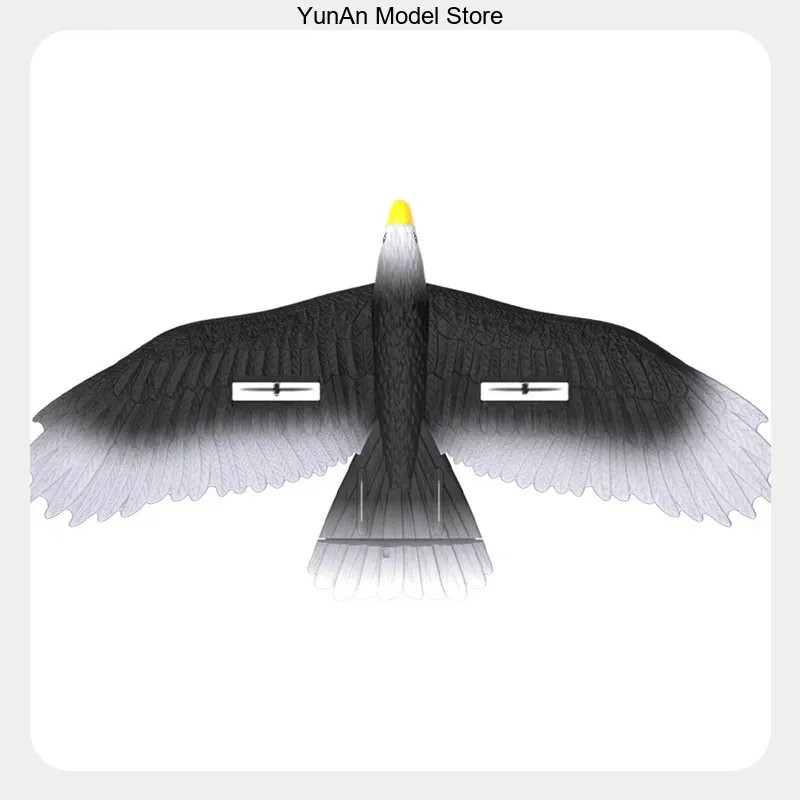 BM17 3CH Fixed-Wing RC Glider  - Rc Glider Foam Wing 评论和价格