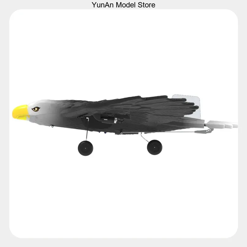 BM17 3CH Fixed-Wing RC Glider  - Rc Glider Foam Wing 评论和价格